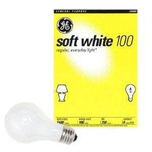 100W Soft White (2700K) A19 Incandescent Light Bulb (4-Pack)